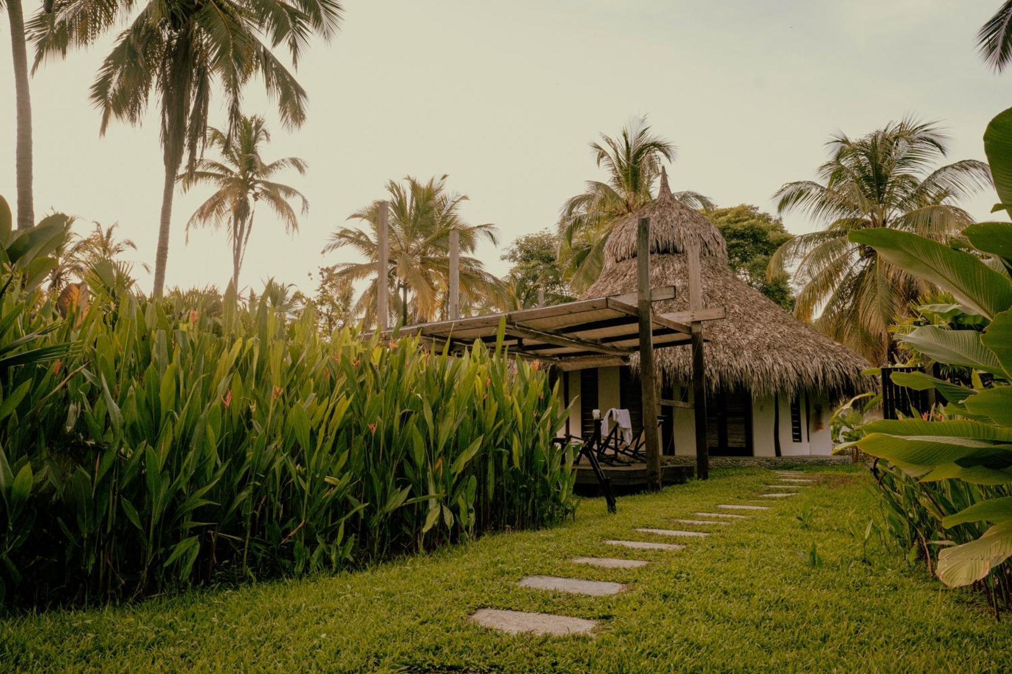 Viajero Tayrona Hostel&Ecohabs Buritaca Exterior foto